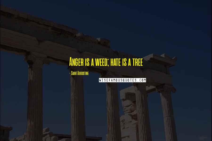 Saint Augustine Quotes: Anger is a weed; hate is a tree