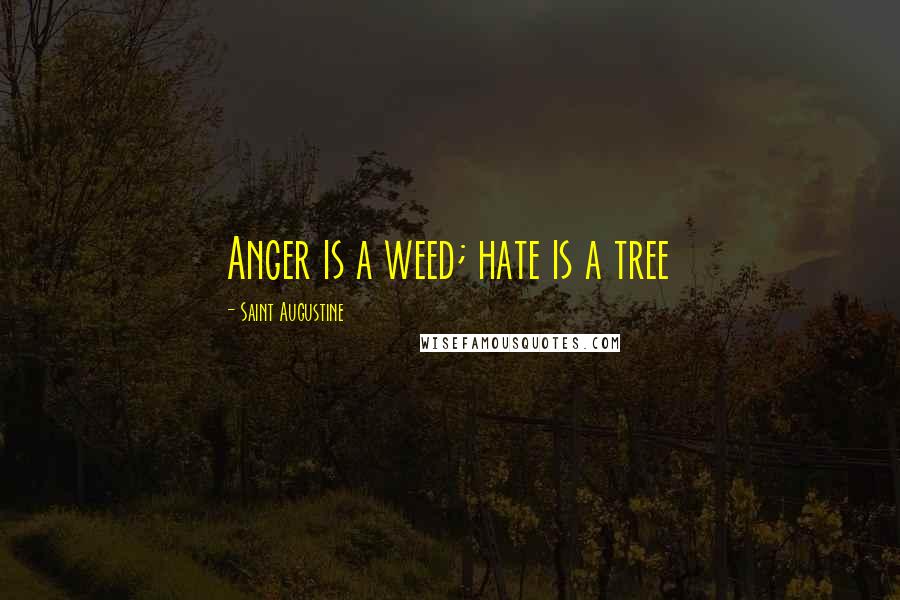 Saint Augustine Quotes: Anger is a weed; hate is a tree