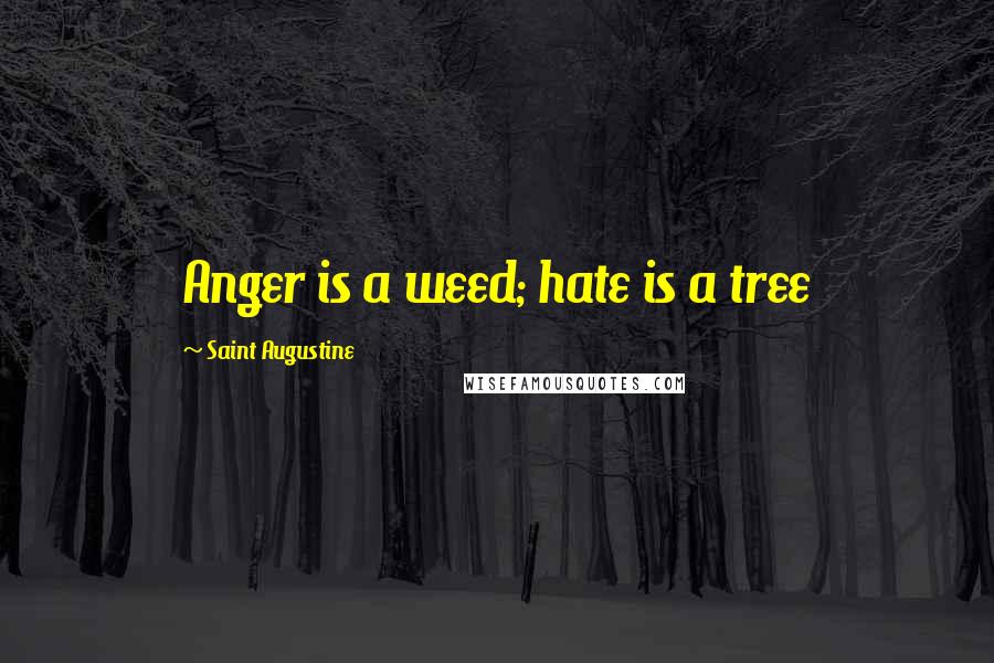 Saint Augustine Quotes: Anger is a weed; hate is a tree