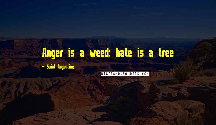 Saint Augustine Quotes: Anger is a weed; hate is a tree