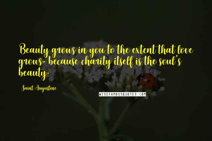 Saint Augustine Quotes: Beauty grows in you to the extent that love grows, because charity itself is the soul's beauty.