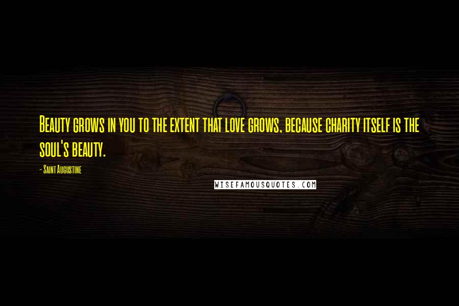 Saint Augustine Quotes: Beauty grows in you to the extent that love grows, because charity itself is the soul's beauty.