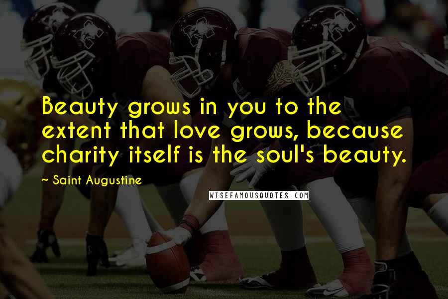 Saint Augustine Quotes: Beauty grows in you to the extent that love grows, because charity itself is the soul's beauty.
