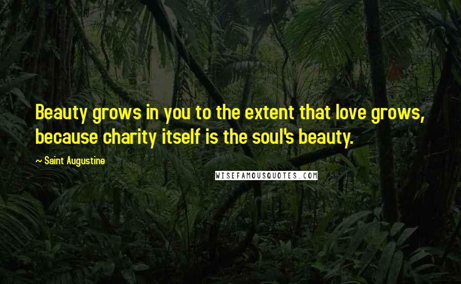Saint Augustine Quotes: Beauty grows in you to the extent that love grows, because charity itself is the soul's beauty.