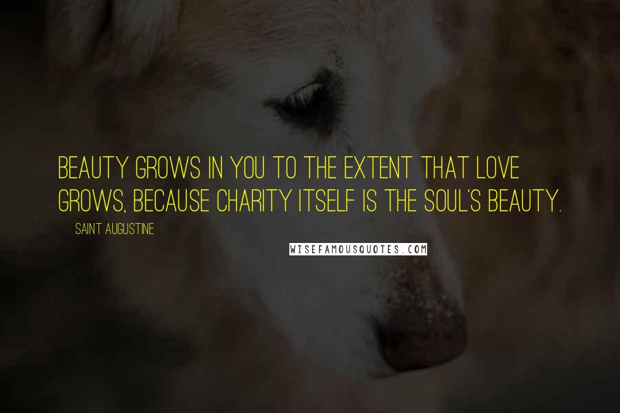 Saint Augustine Quotes: Beauty grows in you to the extent that love grows, because charity itself is the soul's beauty.