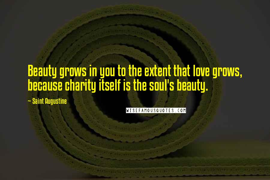 Saint Augustine Quotes: Beauty grows in you to the extent that love grows, because charity itself is the soul's beauty.