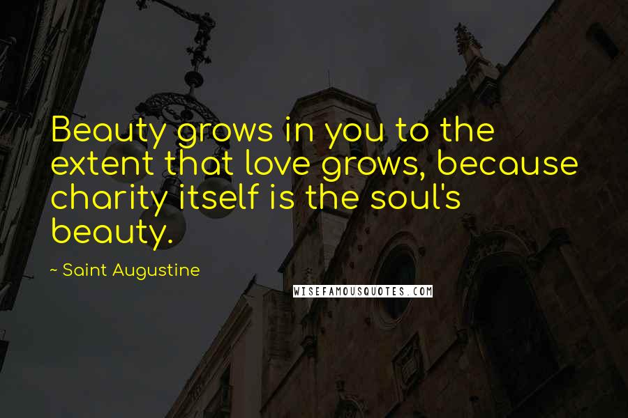 Saint Augustine Quotes: Beauty grows in you to the extent that love grows, because charity itself is the soul's beauty.