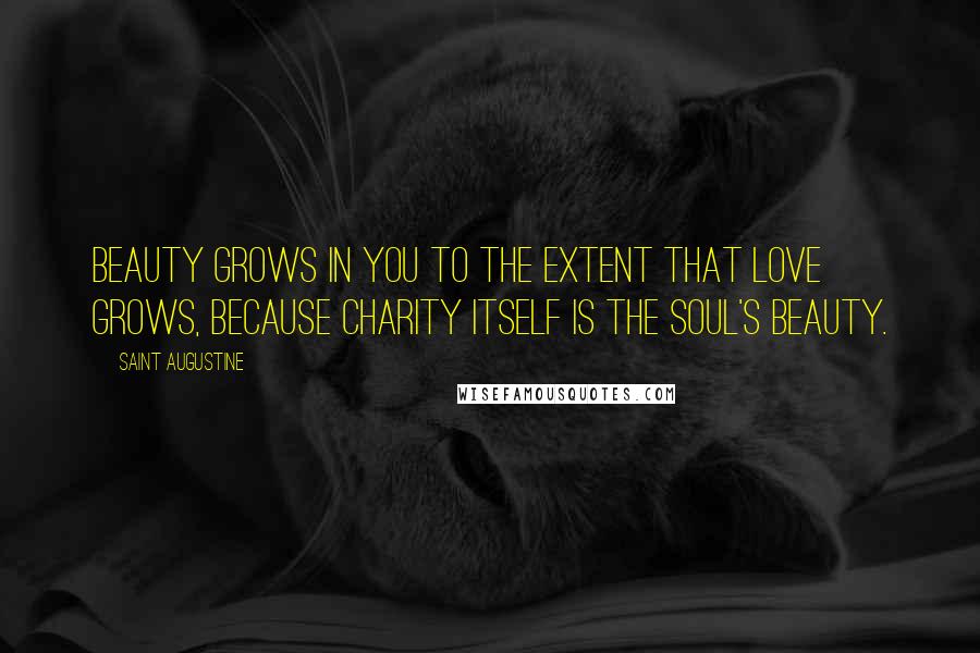 Saint Augustine Quotes: Beauty grows in you to the extent that love grows, because charity itself is the soul's beauty.