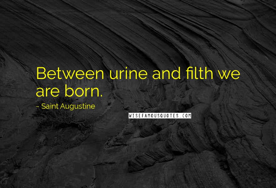 Saint Augustine Quotes: Between urine and filth we are born.