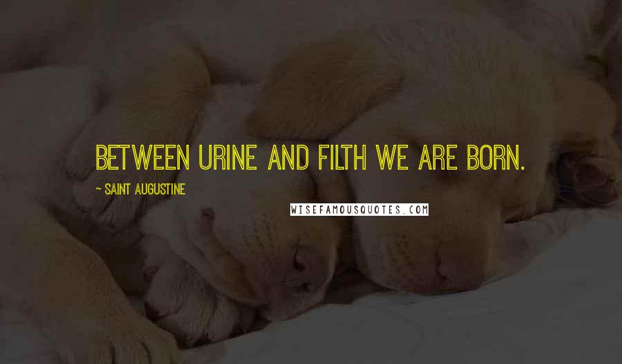 Saint Augustine Quotes: Between urine and filth we are born.