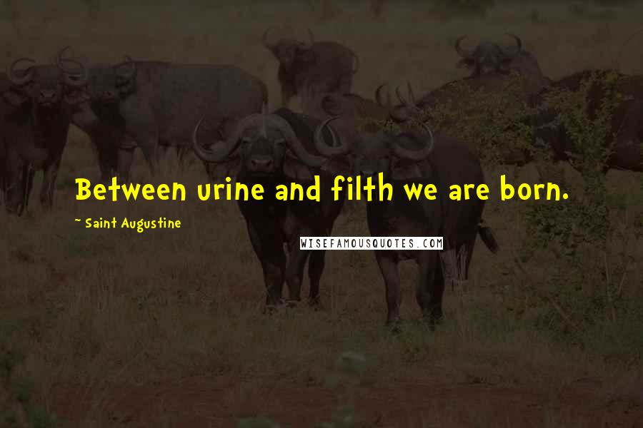 Saint Augustine Quotes: Between urine and filth we are born.