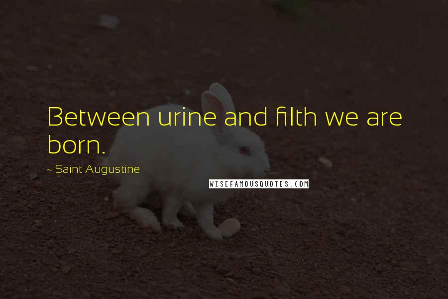 Saint Augustine Quotes: Between urine and filth we are born.