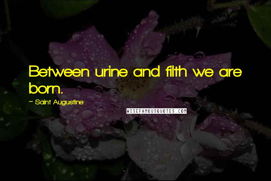 Saint Augustine Quotes: Between urine and filth we are born.