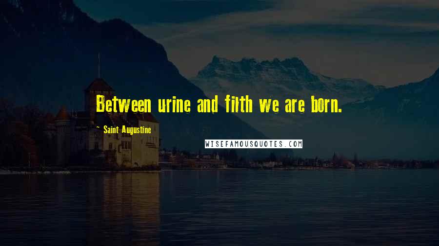 Saint Augustine Quotes: Between urine and filth we are born.