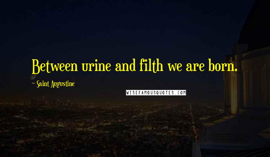 Saint Augustine Quotes: Between urine and filth we are born.