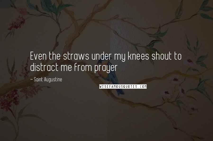 Saint Augustine Quotes: Even the straws under my knees shout to distract me from prayer