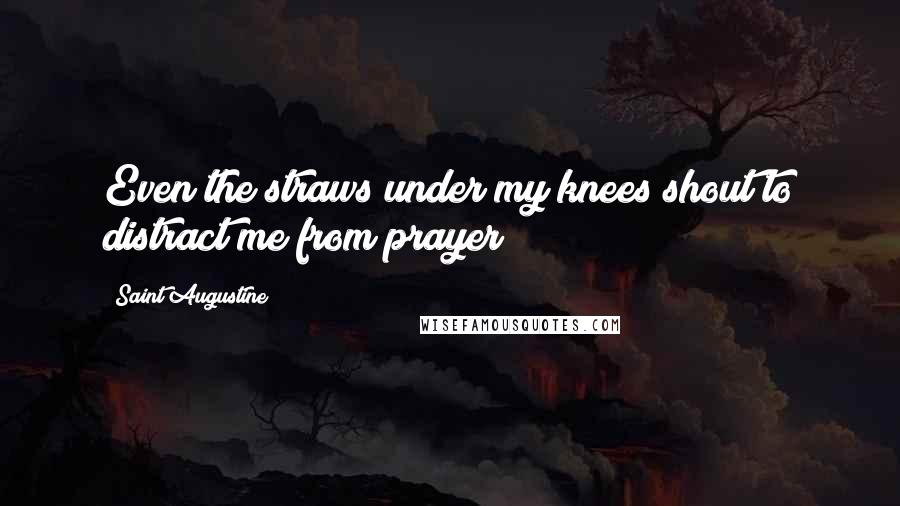 Saint Augustine Quotes: Even the straws under my knees shout to distract me from prayer