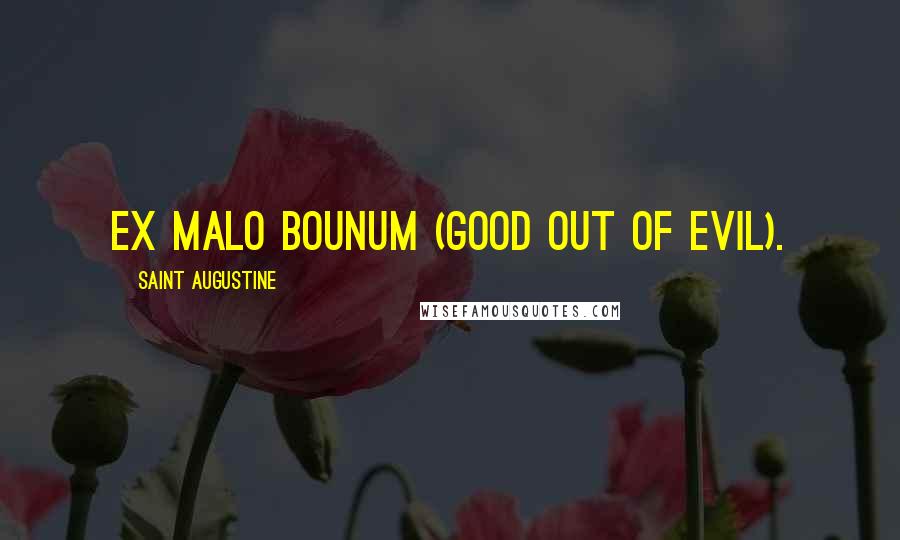 Saint Augustine Quotes: Ex Malo Bounum (good out of evil).