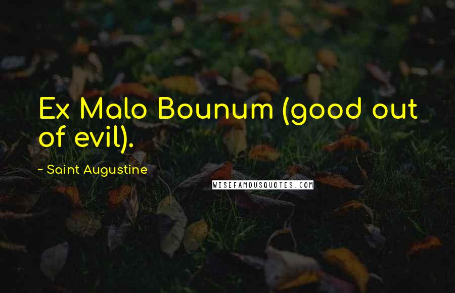 Saint Augustine Quotes: Ex Malo Bounum (good out of evil).