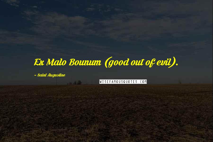 Saint Augustine Quotes: Ex Malo Bounum (good out of evil).