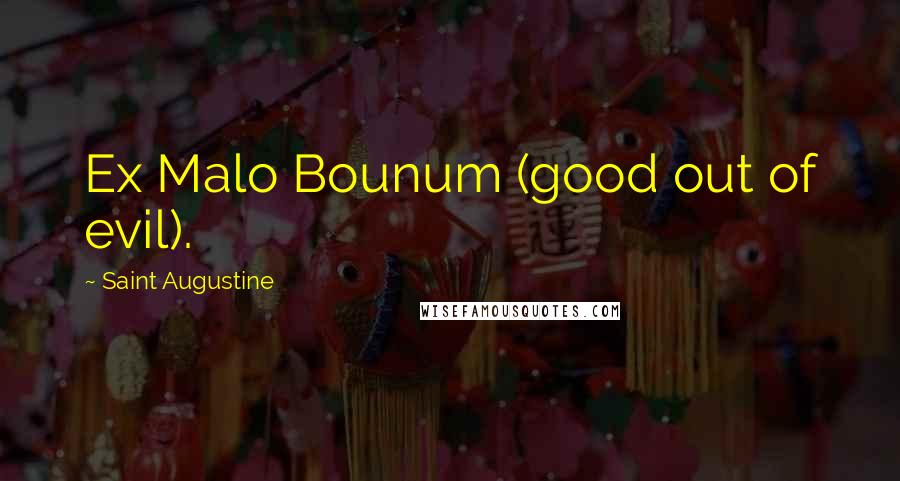 Saint Augustine Quotes: Ex Malo Bounum (good out of evil).