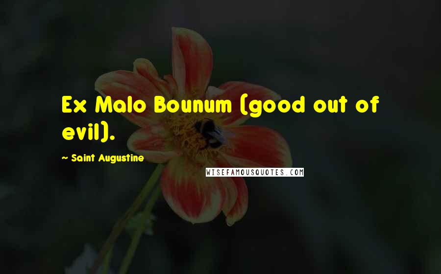 Saint Augustine Quotes: Ex Malo Bounum (good out of evil).