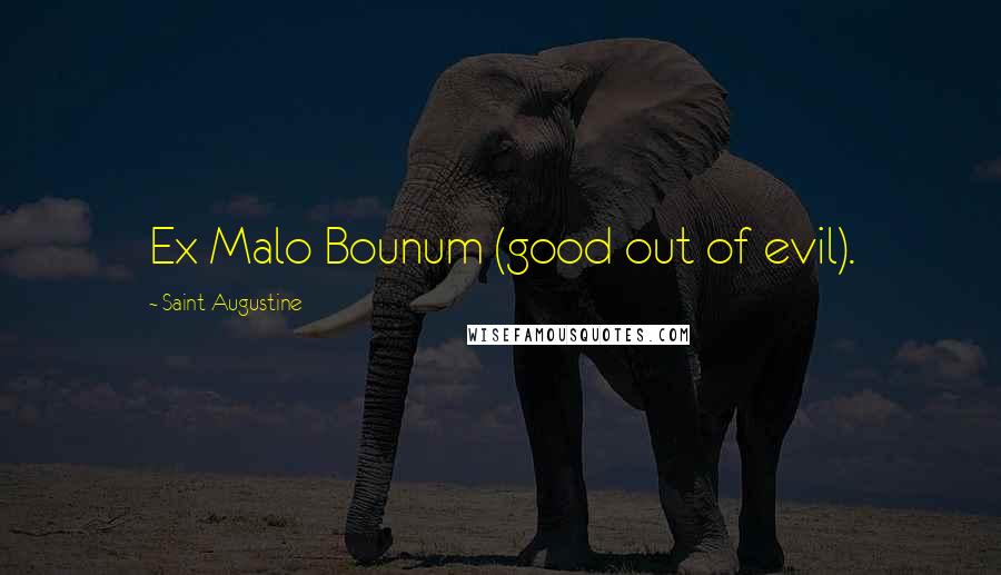 Saint Augustine Quotes: Ex Malo Bounum (good out of evil).