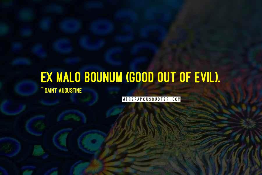 Saint Augustine Quotes: Ex Malo Bounum (good out of evil).