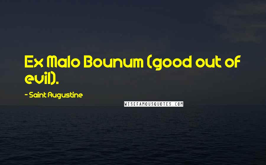 Saint Augustine Quotes: Ex Malo Bounum (good out of evil).