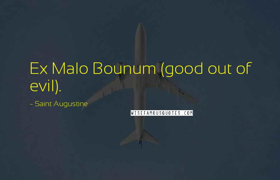 Saint Augustine Quotes: Ex Malo Bounum (good out of evil).