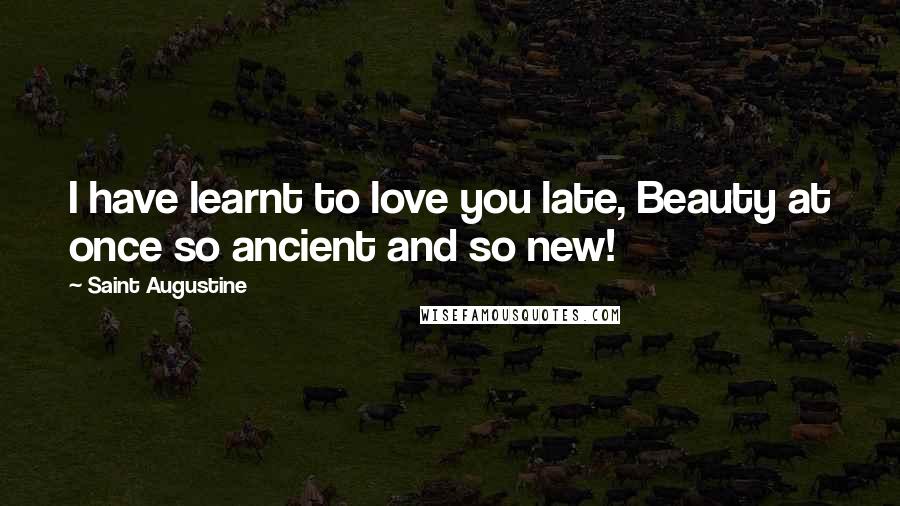 Saint Augustine Quotes: I have learnt to love you late, Beauty at once so ancient and so new!