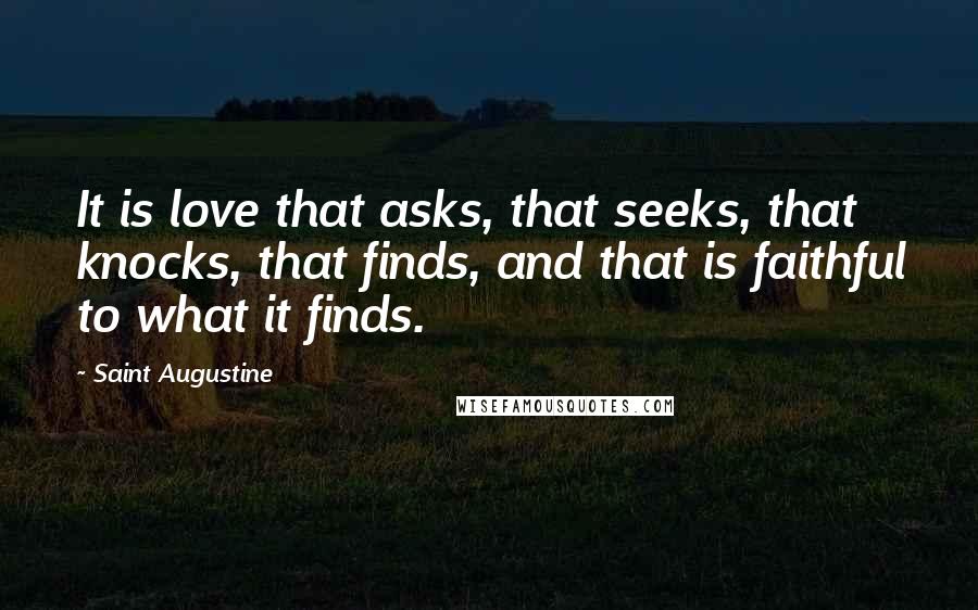 Saint Augustine Quotes: It is love that asks, that seeks, that knocks, that finds, and that is faithful to what it finds.