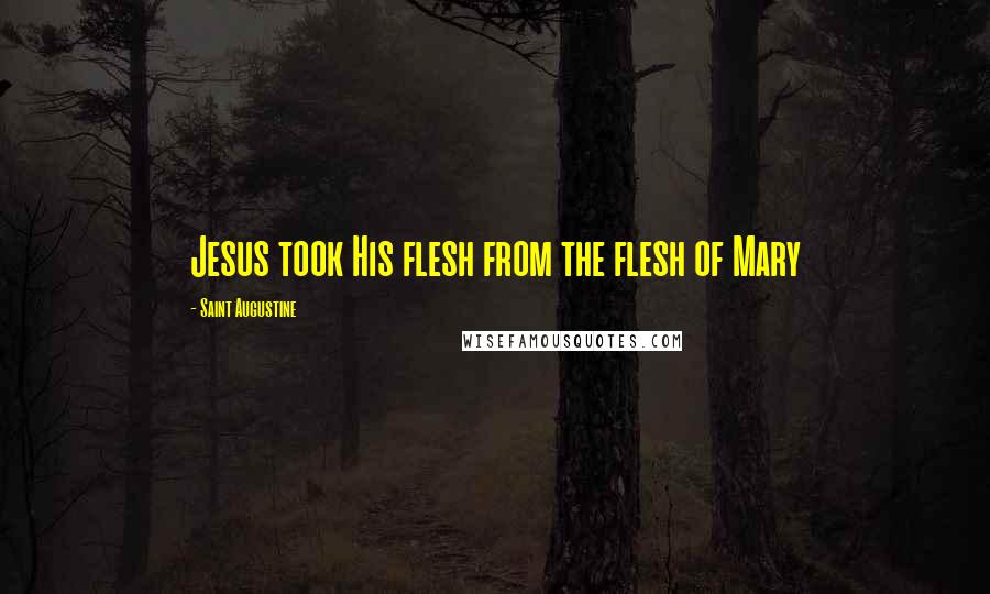 Saint Augustine Quotes: Jesus took His flesh from the flesh of Mary