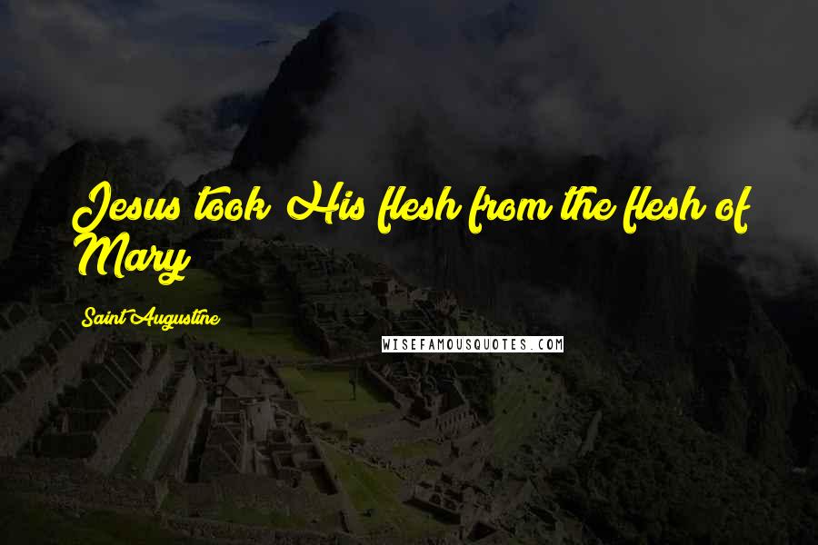 Saint Augustine Quotes: Jesus took His flesh from the flesh of Mary