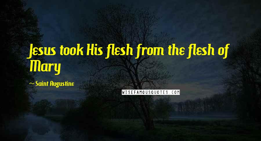 Saint Augustine Quotes: Jesus took His flesh from the flesh of Mary