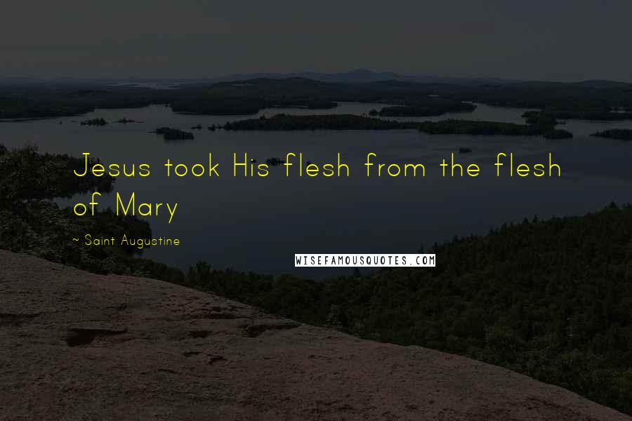 Saint Augustine Quotes: Jesus took His flesh from the flesh of Mary