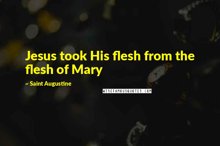 Saint Augustine Quotes: Jesus took His flesh from the flesh of Mary
