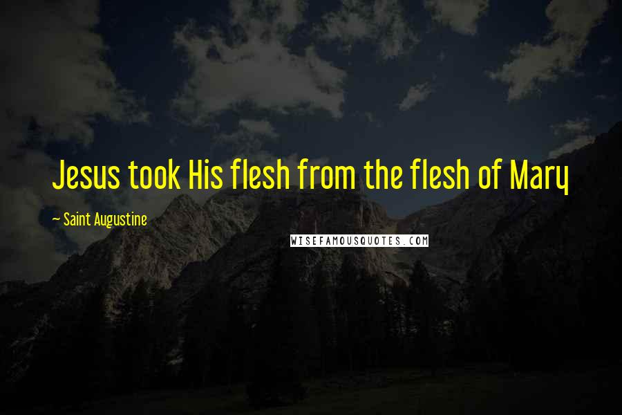 Saint Augustine Quotes: Jesus took His flesh from the flesh of Mary