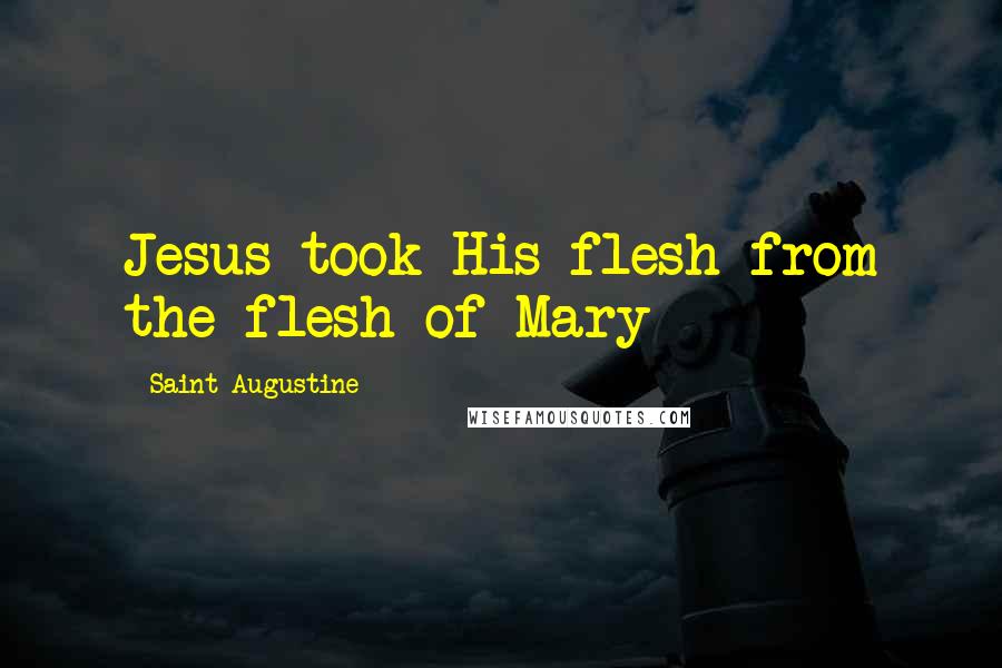 Saint Augustine Quotes: Jesus took His flesh from the flesh of Mary