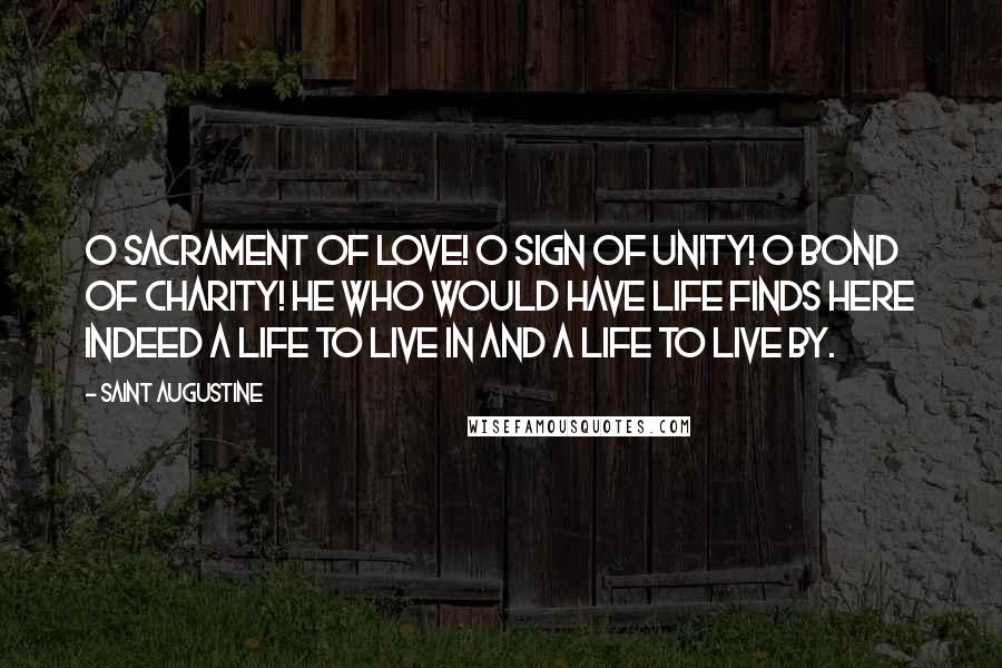 Saint Augustine Quotes: O Sacrament of Love! O sign of Unity! O bond of Charity! He who would have Life finds here indeed a Life to live in and a Life to live by.