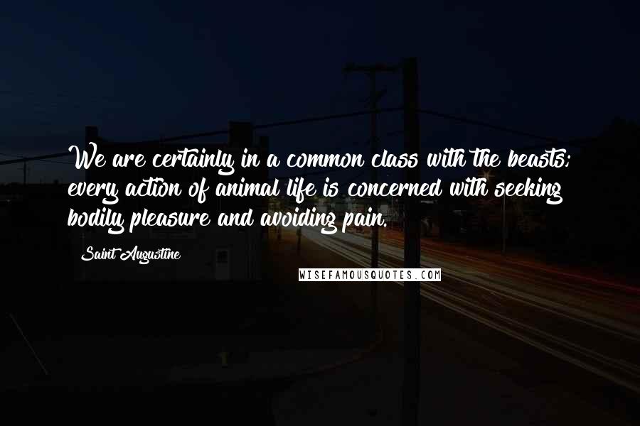 Saint Augustine Quotes: We are certainly in a common class with the beasts; every action of animal life is concerned with seeking bodily pleasure and avoiding pain.