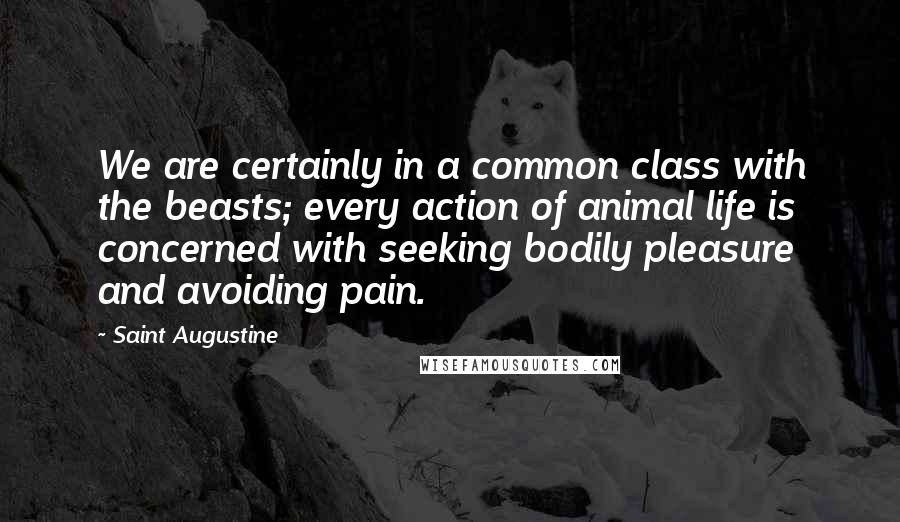 Saint Augustine Quotes: We are certainly in a common class with the beasts; every action of animal life is concerned with seeking bodily pleasure and avoiding pain.
