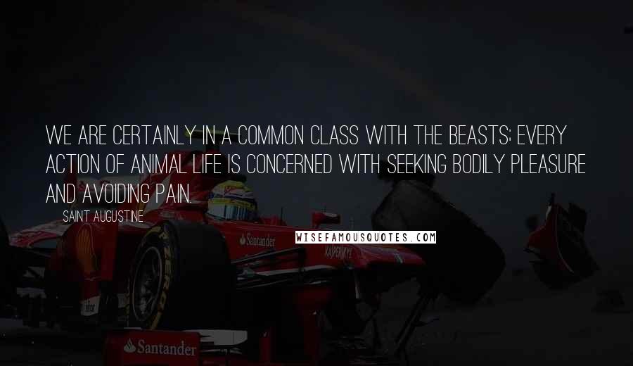 Saint Augustine Quotes: We are certainly in a common class with the beasts; every action of animal life is concerned with seeking bodily pleasure and avoiding pain.