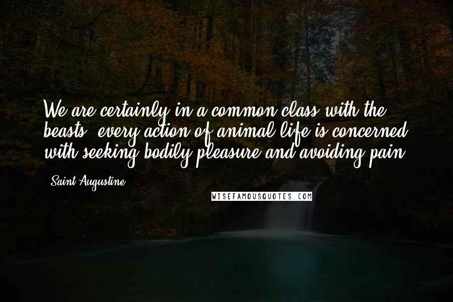 Saint Augustine Quotes: We are certainly in a common class with the beasts; every action of animal life is concerned with seeking bodily pleasure and avoiding pain.