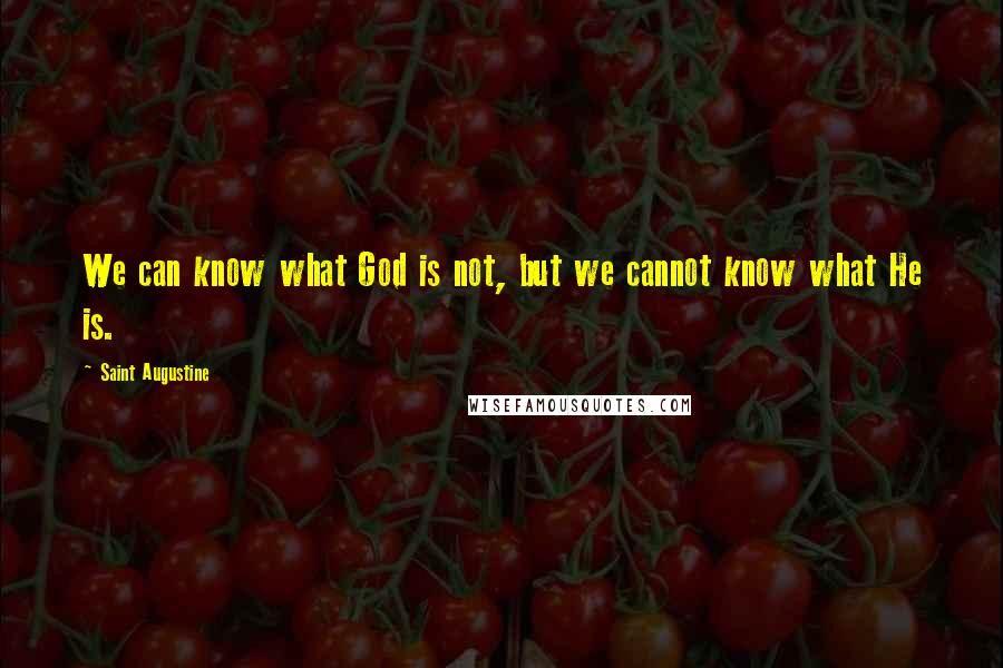 Saint Augustine Quotes: We can know what God is not, but we cannot know what He is.