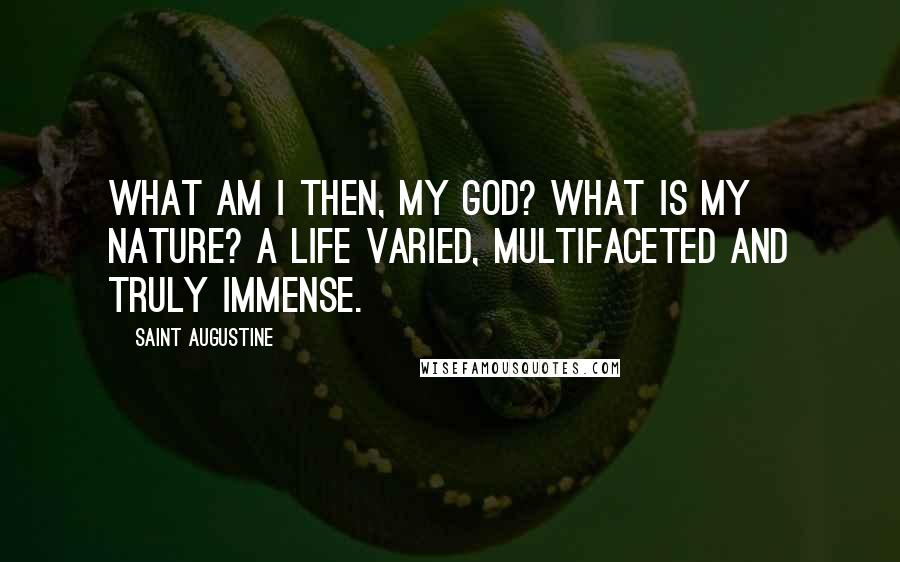 Saint Augustine Quotes: What am I then, my God? What is my nature? A life varied, multifaceted and truly immense.