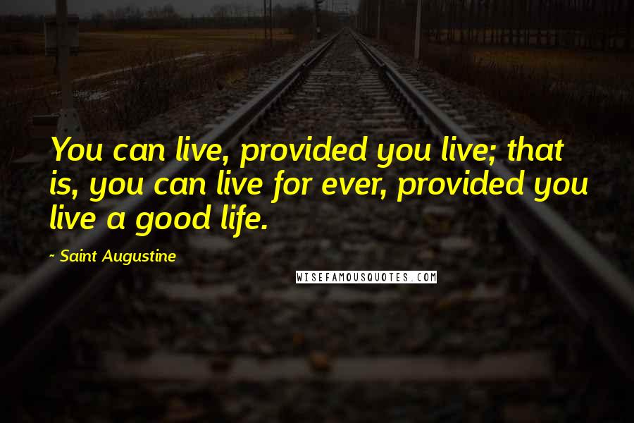 Saint Augustine Quotes: You can live, provided you live; that is, you can live for ever, provided you live a good life.