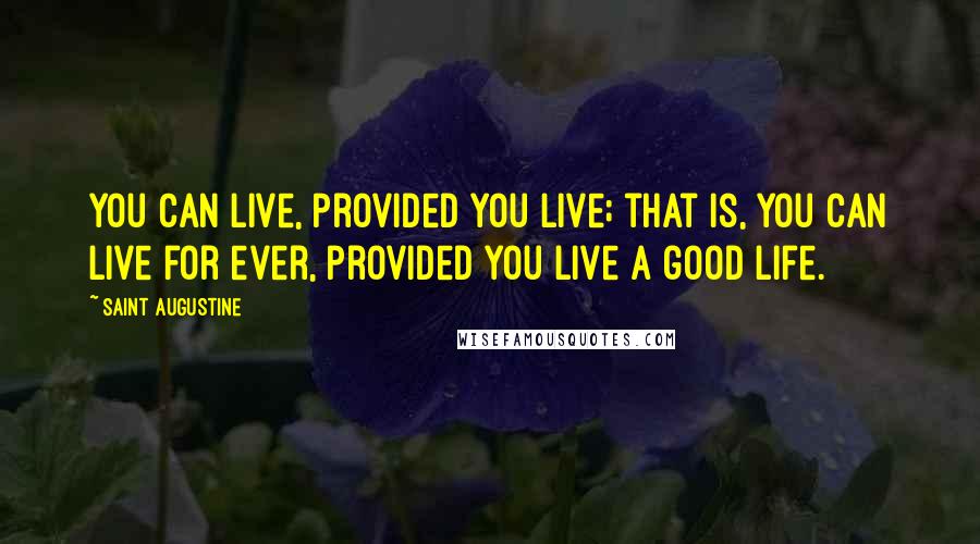 Saint Augustine Quotes: You can live, provided you live; that is, you can live for ever, provided you live a good life.