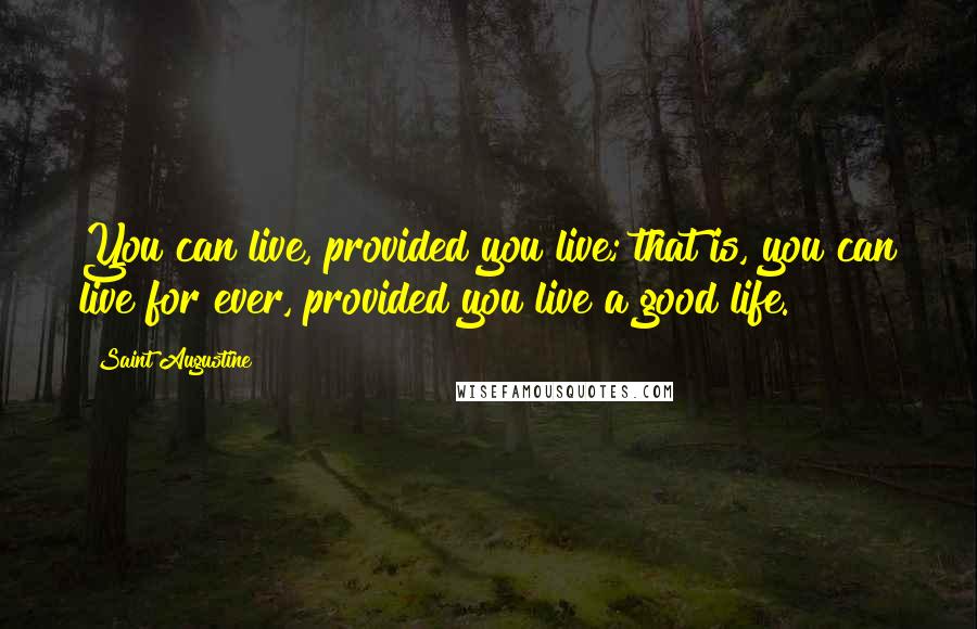 Saint Augustine Quotes: You can live, provided you live; that is, you can live for ever, provided you live a good life.