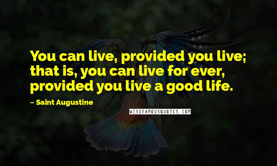 Saint Augustine Quotes: You can live, provided you live; that is, you can live for ever, provided you live a good life.